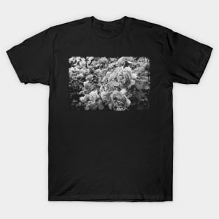 Vintage roses on a black and white film T-Shirt